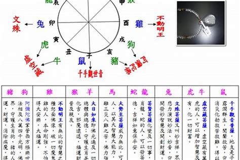 2003屬羊|2003年属羊是什么命 五行属什么